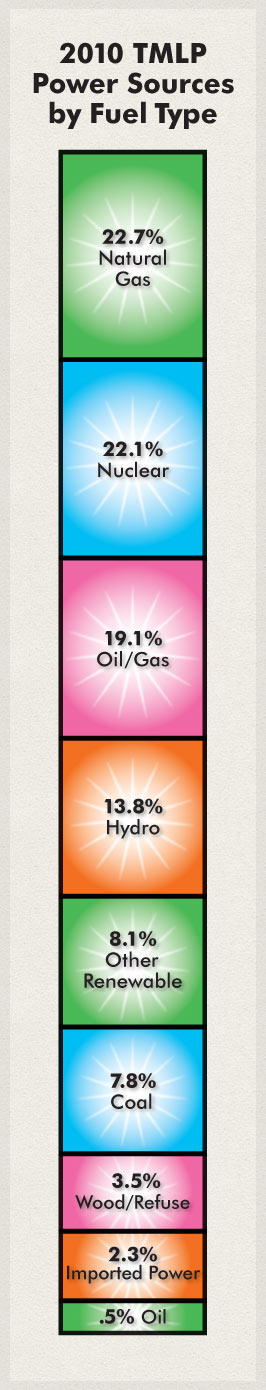 2010 TMLP Power Sources by Fuel Type